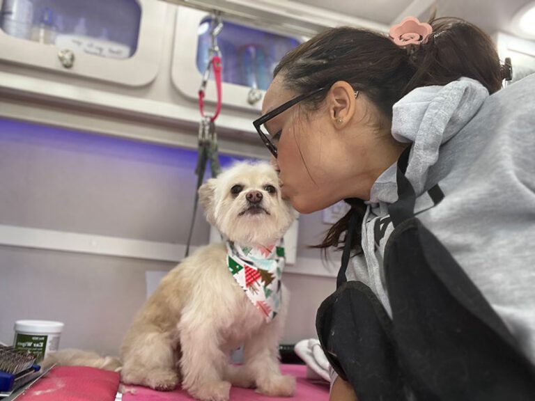 IMG_9502 Woman in glasses and gray hoodie kisses a small, fluffy dog wearing a festive bandana in a pet grooming van.