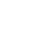 white Zelle icon